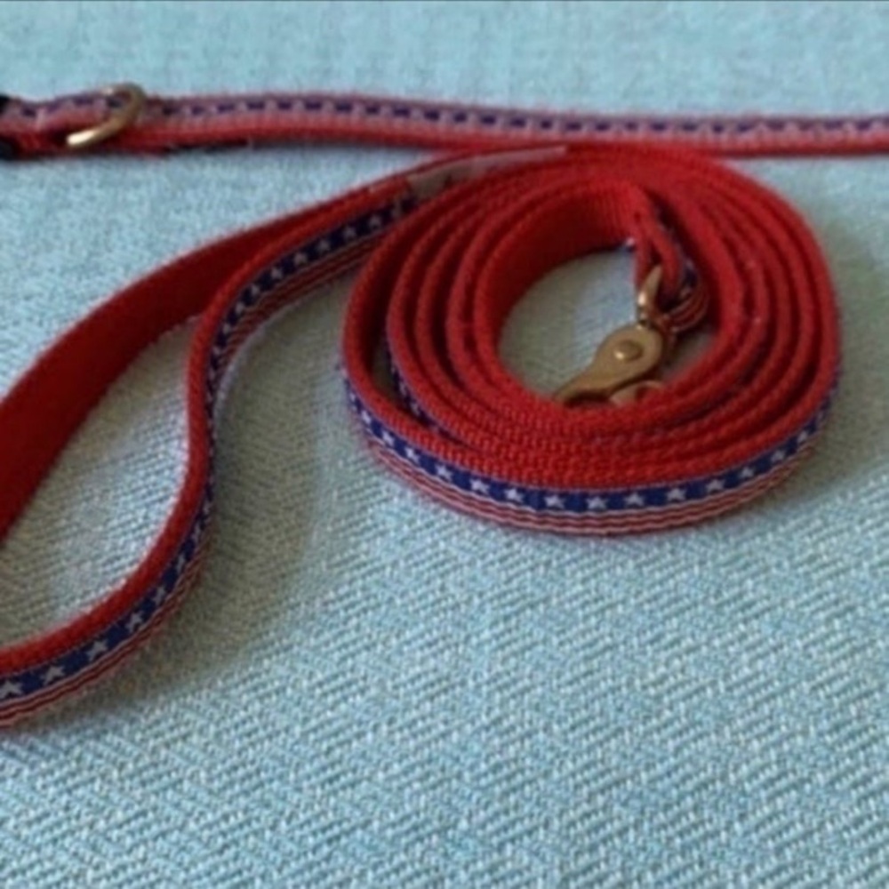USA Stars & Stripes Dog Leash & Collar XS